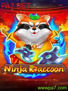 NinjaRaccoon